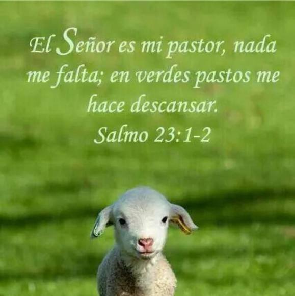 carlos74ii